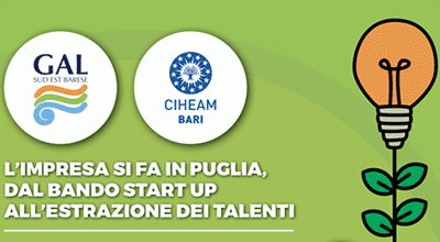 L'impresa si fa in Puglia, dal bando startup all'estrazione dei talenti